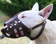 Bull Terrier leather dog muzzle - handmade custom leather muzzle Bull Terrier leather dog muzzle - handmade custom leather muzzle