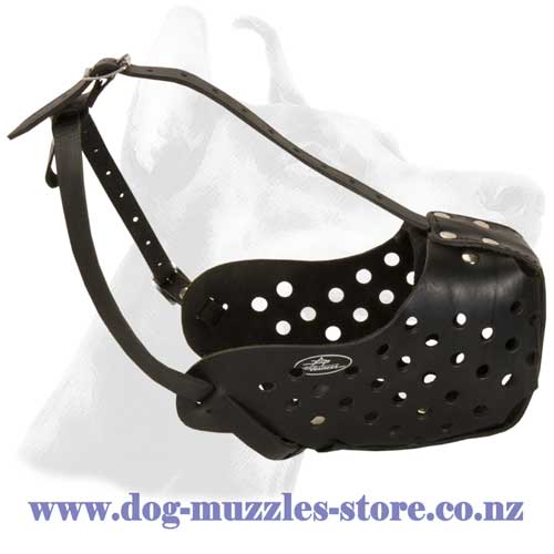 Agitation leather dog muzzle with steel bar