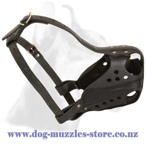 Agitation training leather dog muzzle well ventilated