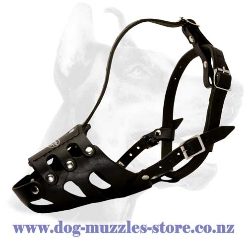 Leather-dog-muzzleperfectly ventilated