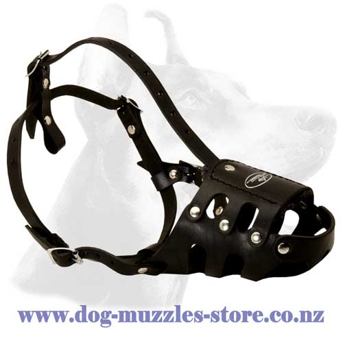 Leather dog muzzle stitched and riveted