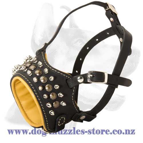 Leather dog muzzle with 2 rows of spikes and studs