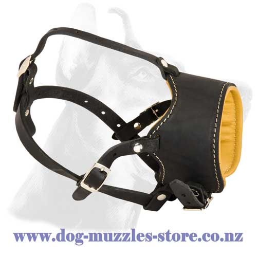 Leather dog muzzle with Nappa lining
