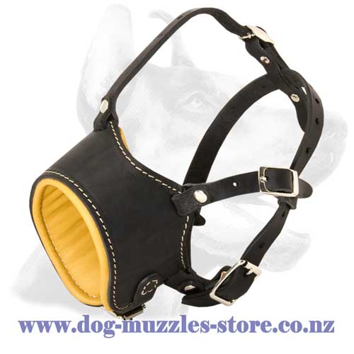 Leather dog muzzle with adjustable snout loop
