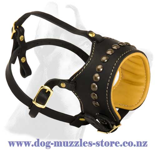 Leather dog muzzle with brass half spheres adornment