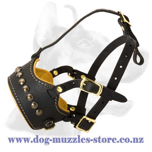 Leather dog muzzle with open nose