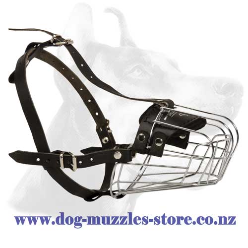 Metal cage dog muzzle with perfect air circulation