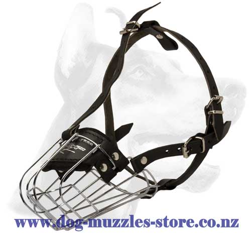 Metal dog muzzle with leather straps
