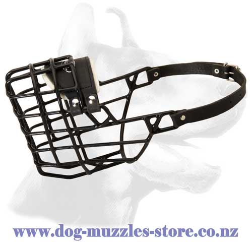 Wire cage dog muzzle for winter walking