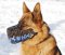 Leather dog muzzle "Dondi"-plus style For GSD-K9