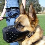 Leather Dog Muzzle for Attack/Agitation Work