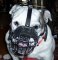 British Bulldog Basket Muzzle - Cage Wire Dog Muzzle For British Bulldog