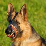 Handmade Art Leather dog muzzle for German sepherd