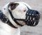 Dog Muzzle Stress Free For American Bulldog