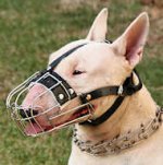 English Bull Terrier Basket Muzzle - Cage Wire Dog Muzzle For English Bull Terrier