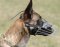 Belgian Malinois Basket Muzzle - Cage Wire Dog Muzzle For Belgian Malinois
