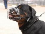 Rottweiler Basket Muzzle - Cage Wire Dog Muzzle For Rottweiler