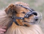 Collie Basket Muzzle - Cage Wire Dog Muzzle For Collie