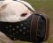 PitBull Training Dog Muzzle