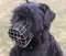 Black Russian Terrier Basket Muzzle - Cage Wire Dog Muzzle For Black Russian Terrier