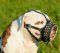 Royal Pyramids studded Leather Dog Muzzle for American Bulldog