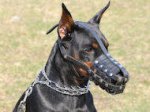 Dog Muzzle Stress Free For Doberman