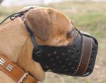 Bullmastiff Training Dog Muzzle