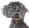 Great Dane Basket Muzzle - Cage Wire Dog Muzzle For Great Dane
