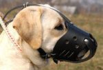 New Zealand Leather Dog Muzzle For Labrador Retriever