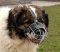 Caucasian Shepherd Basket Muzzle - Cage Wire Dog Muzzle For Caucasian Shepherd