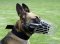Belgian Malinois Basket Muzzle - Cage Wire Dog Muzzle For Belgian Malinois