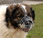 Caucasian Shepherd Basket Muzzle - Cage Wire Dog Muzzle For Caucasian Shepherd