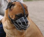Bullmastiff Basket Muzzle - Cage Wire Dog Muzzle For Bullmastiff