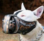 Bull Terrier Training Dog Muzzle