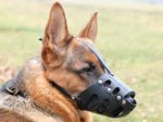 Everyday German Shepherd Leather dog muzzle-gsd muzzle