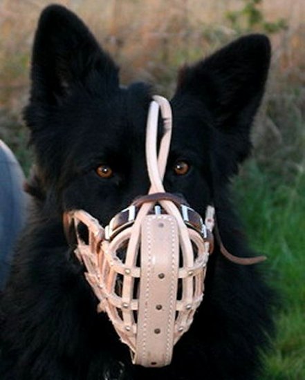 Police shop dog muzzle