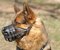 Dog Muzzle Stress Free For German Shepherd