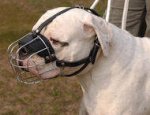American Bulldog Basket Muzzle - Cage Wire Dog Muzzle For American Bulldog
