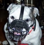 British Bulldog Basket Muzzle - Cage Wire Dog Muzzle For British Bulldog