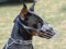 Doberman Basket Muzzle - Cage Wire Dog Muzzle For Doberman