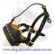 Royal Studded Leather Dog Muzzle