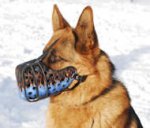 Painted Leather Dog Muzzle for Attack/Agitation Work