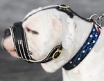 American Bulldog Leather Dog Muzzle-Anti Barking Muzzle