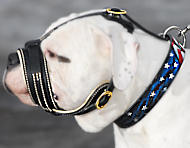 American Bulldog Leather Dog Muzzle-Anti Barking Muzzle  American Bulldog Leather Dog Muzzle-Anti Barking Muzzle