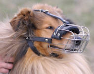 Collie Basket Muzzle - Cage Wire Dog Muzzle For Collie