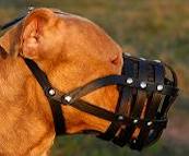 Dog Muzzle Stress Free For PitBull  Dog Muzzle Stress Free For PitBull