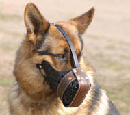 German Shepherd Training Dog Muzzle