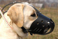 New Zealand Leather Dog Muzzle For Labrador Retriever