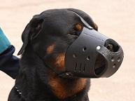 New Zealand Leather Dog Muzzle For Rottweiler