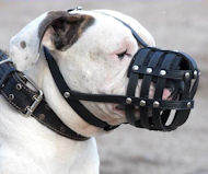 Dog Muzzle Stress Free For American Bulldog